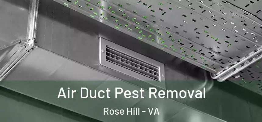 Air Duct Pest Removal Rose Hill - VA