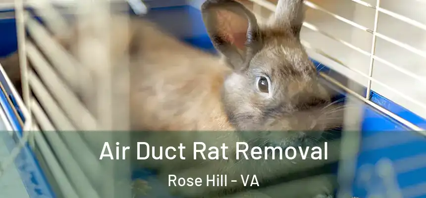 Air Duct Rat Removal Rose Hill - VA