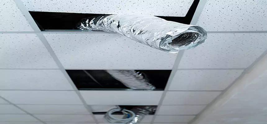 Affordable HVAC Sanitizing After Pest Removal in Rose Hill