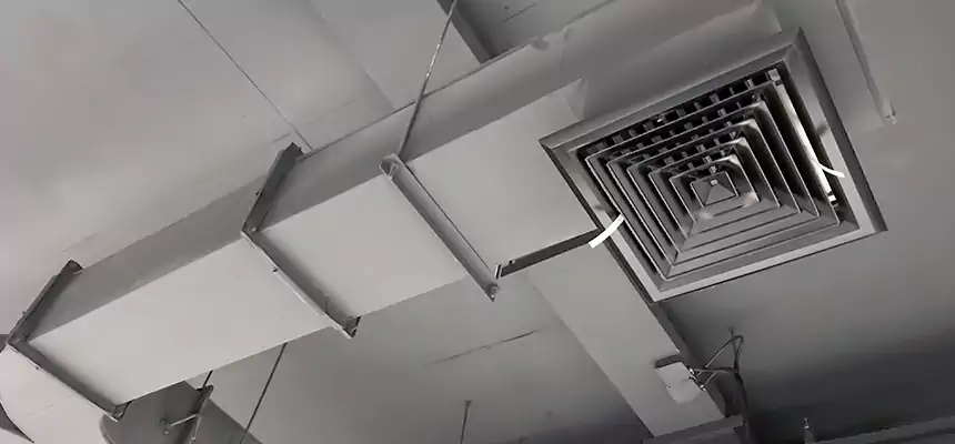 Restorative Allergy Relief Vent Cleaning – Coil, Blower & Housing Detail in Rose Hill