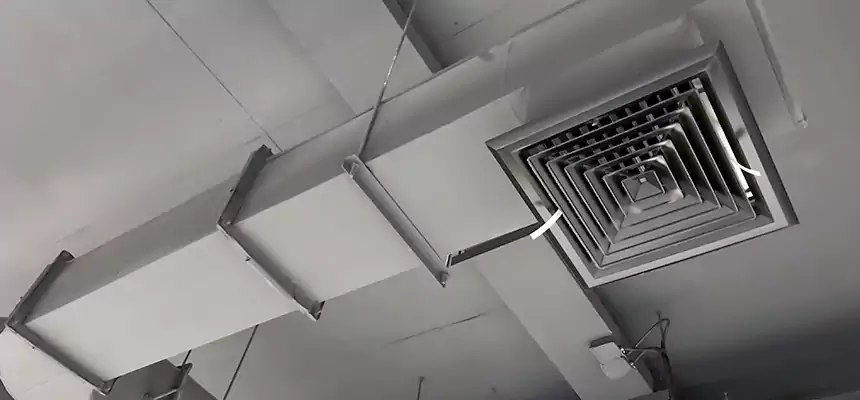 Our Pest Removal From Ducts Services in Rose Hill, VA