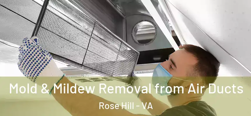Mold & Mildew Removal from Air Ducts Rose Hill - VA