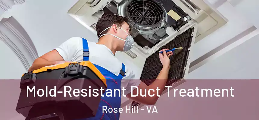 Mold-Resistant Duct Treatment Rose Hill - VA