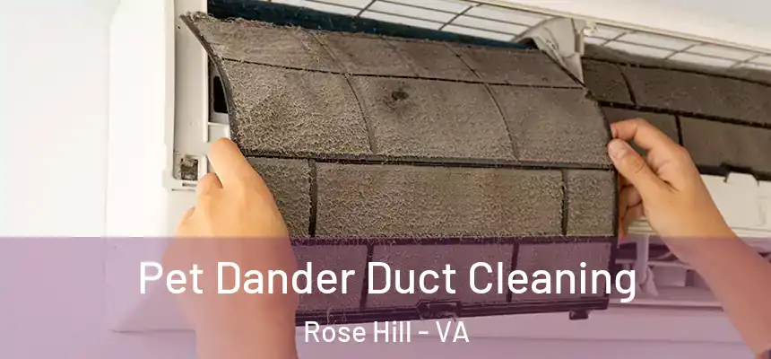  Pet Dander Duct Cleaning Rose Hill - VA