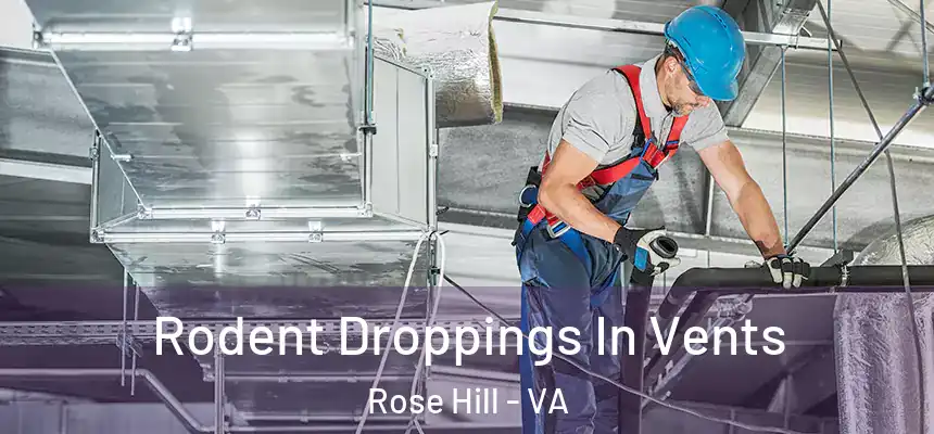 Rodent Droppings In Vents Rose Hill - VA