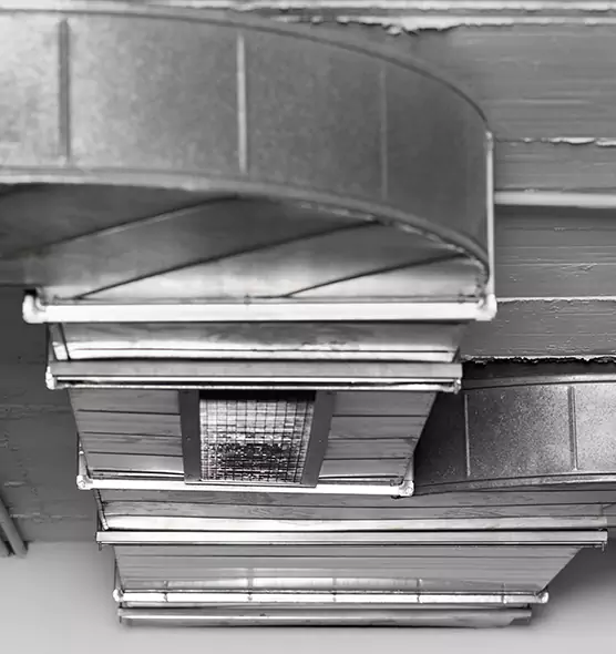 Professional Air Duct Pet Hair Removal in Rose Hill, VA