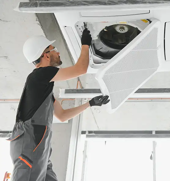 About Air Duct Rodent Removal in Rose Hill, VA