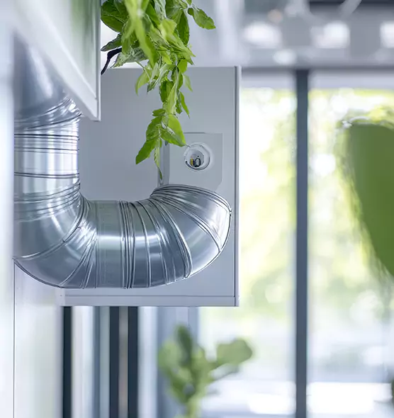 Professional Eco-Safe Dryer Vent Cleaning in Rose Hill, VA