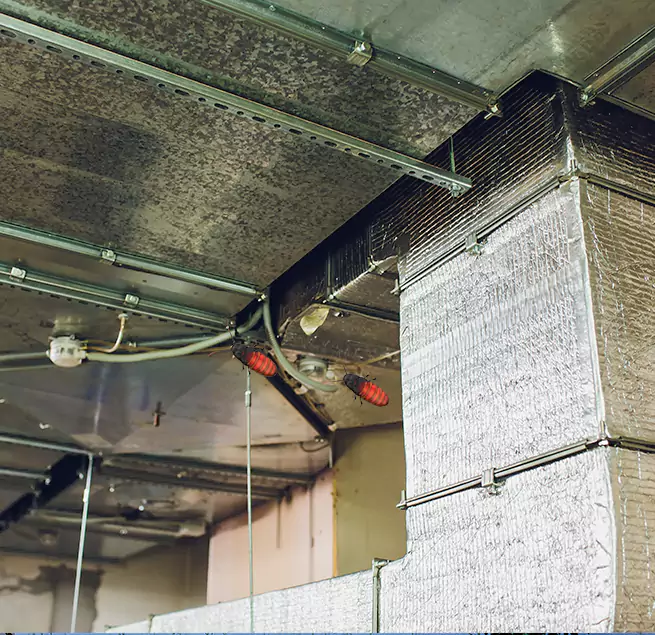 Why Homeowners & Businesses Trust Us in Rose Hill, VA?