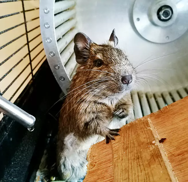 Why Homeowners & Businesses Trust Us Rose Hill, VA