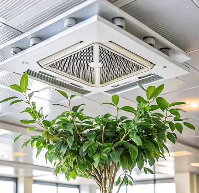 Why Homeowners & Businesses Trust Us in Rose Hill, VA